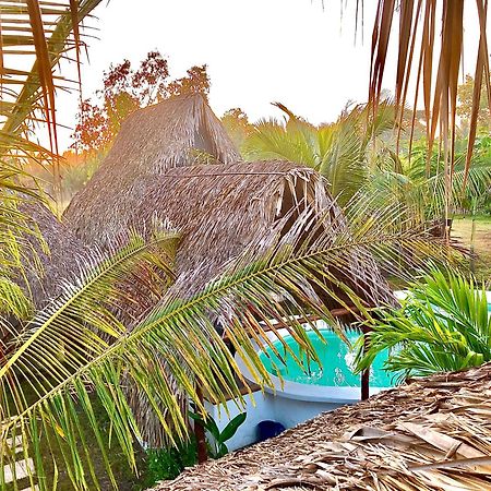 Sunrise El Paredon Bed & Breakfast El Paredon Buena Vista Exterior photo